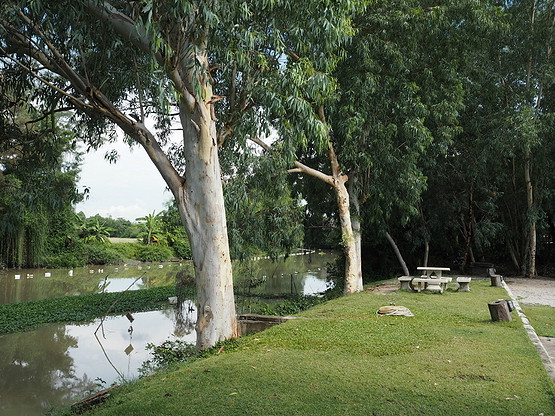 Baan 17/9 — photo 3