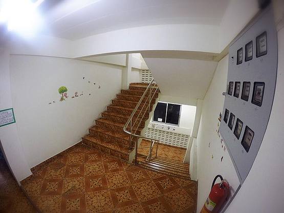 Condo — photo 5