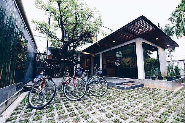 Softdormtel — photo 3