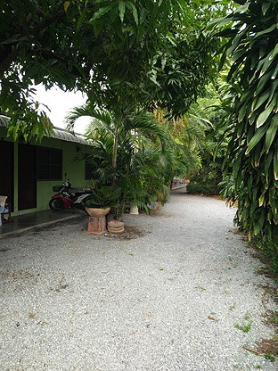 Condo — photo 4
