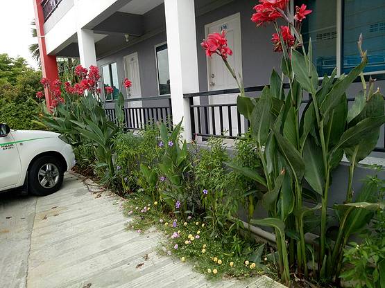 Condo — photo 4
