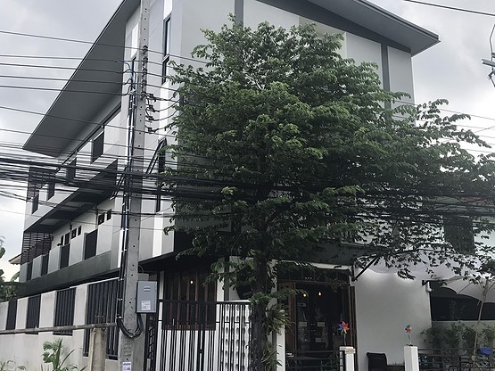 Doodze House — photo 3