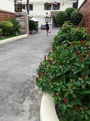 Condo · bangkok — photo 3