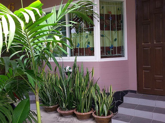 Condo — photo 5
