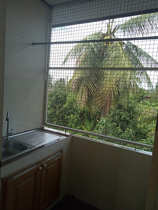 Condo — photo 4