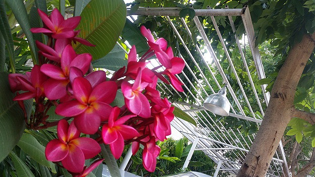 Condo · prachuap_khiri_khan — photo 4
