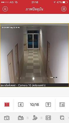 Condo — photo 5