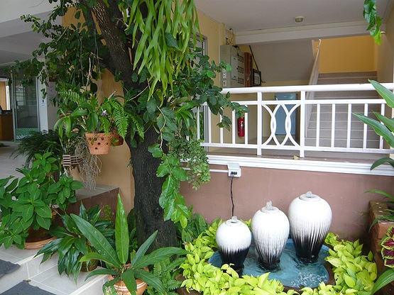 Condo — photo 4