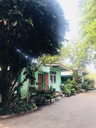 Condo · chiang_mai — photo 2