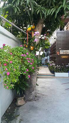 Condo · Lak Si, bangkok — photo 3