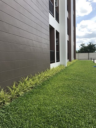 Condo — photo 4