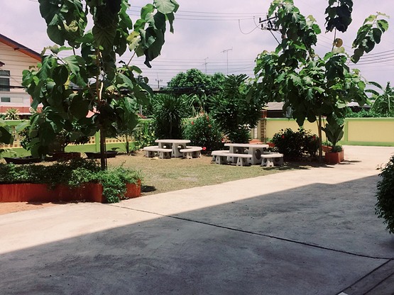 Condo — photo 3