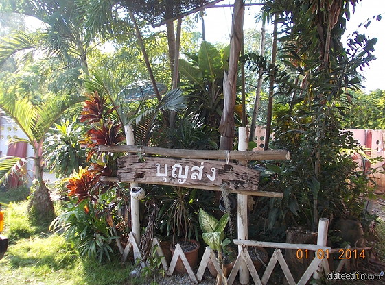Condo · Saraphi, chiang_mai — photo 4