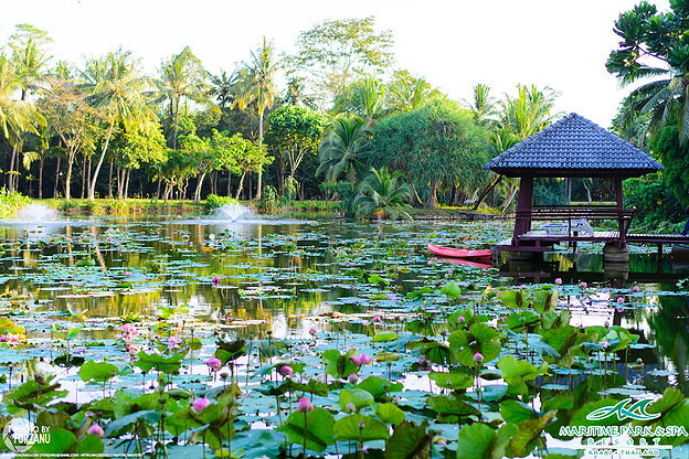 Condo · prachuap_khiri_khan — photo 5