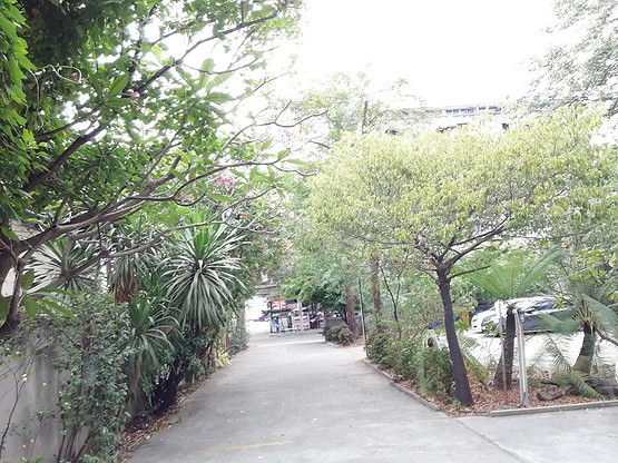 Condo · Wang Thonglang, bangkok — photo 3