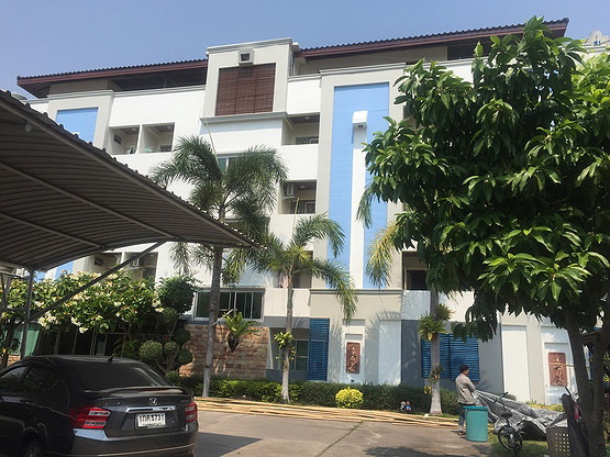 Condo — photo 4