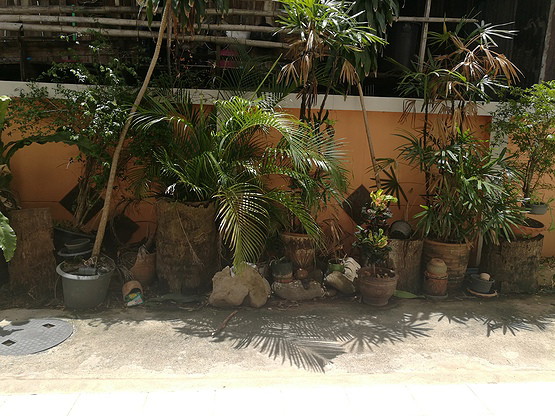 Condo — photo 3