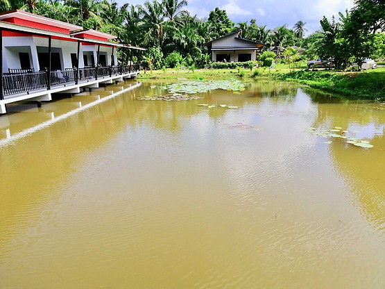 Krabi House Private Lake View — photo 5