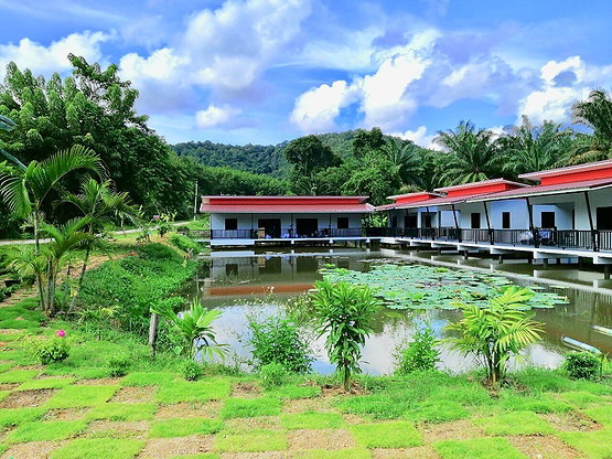Krabi House Private Lake View — photo 2