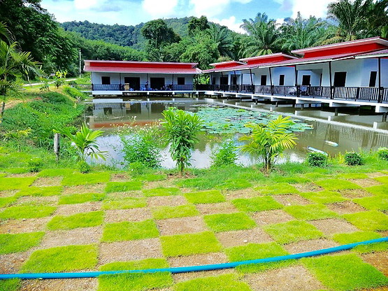 Krabi House Private Lake View — photo 1