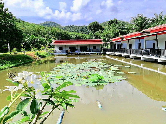 Krabi House Private Lake View — photo 3