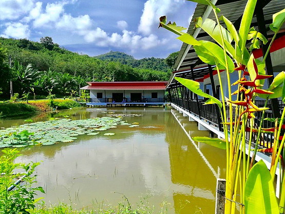Krabi House Private Lake View — photo 4