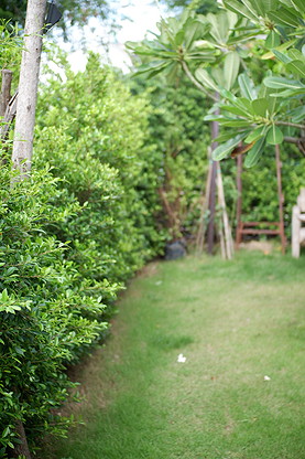 Condo — photo 5