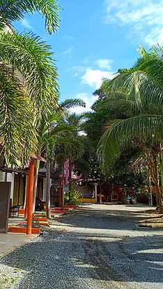 Condo · Mueang Chon Buri, chon_buri — photo 3