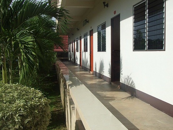 Condo — photo 3