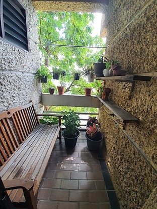 Condo · Wang Thonglang, bangkok — photo 3