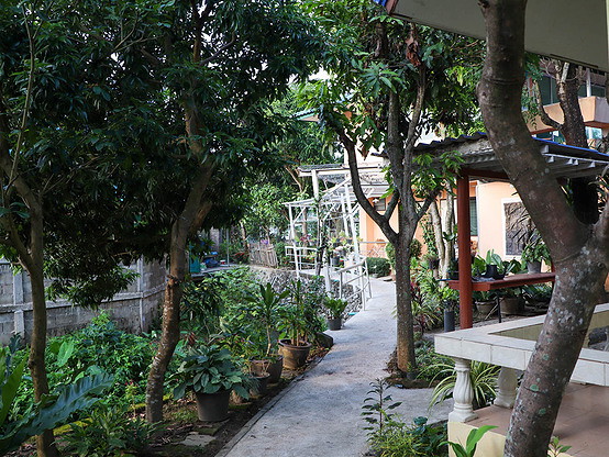 Condo — photo 3