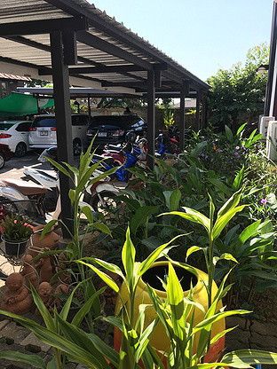 Condo · San Sai, chiang_mai — photo 5