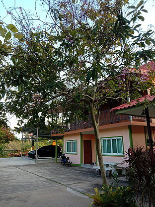 Condo — photo 5