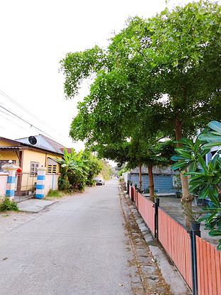 Condo · San Kamphaeng, chiang_mai — photo 3