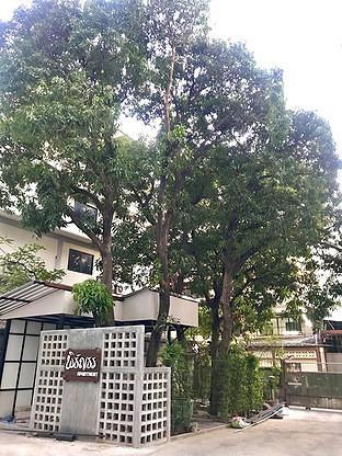 Condo · Yan Nawa, bangkok — photo 2