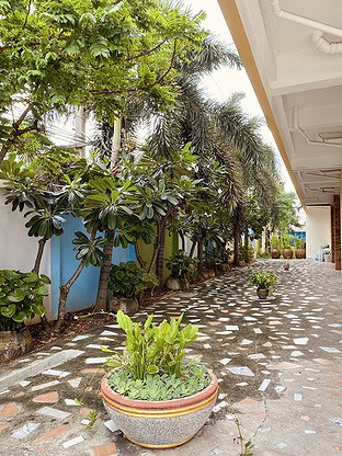 Condo — photo 5