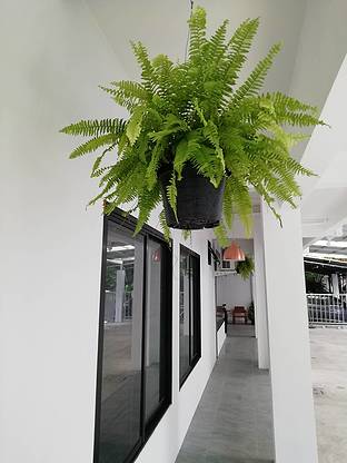 Condo · Bang Kapi, bangkok — photo 4