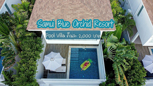 Samui Blue Orchid Resort:  Special Promotion for monthly stay! — photo 1
