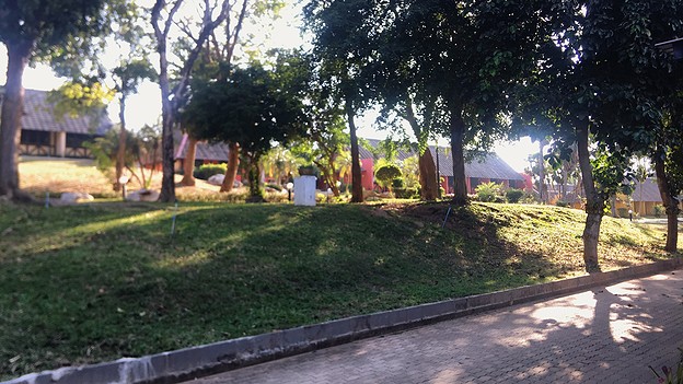 Condo — photo 5