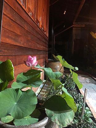Condo · Phra Nakhon, bangkok — photo 4