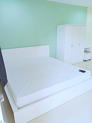 Pictures of pen house 11/14