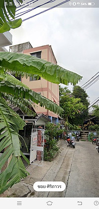 290 — photo 1