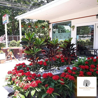 Condo · San Sai, chiang_mai — photo 3