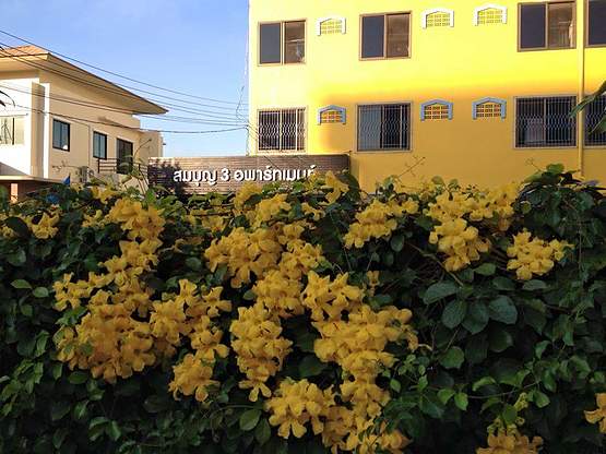 Condo · Bangkok Yai, bangkok — photo 1