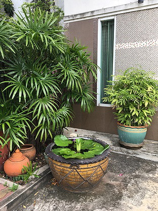 Condo · Si Racha, chon_buri — photo 4