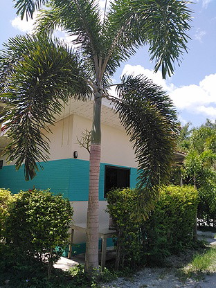 Condo · chon_buri — photo 2