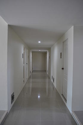 The Olive — photo 2