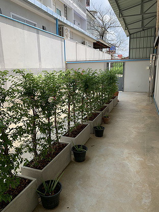 Condo · Si Racha, chon_buri — photo 4