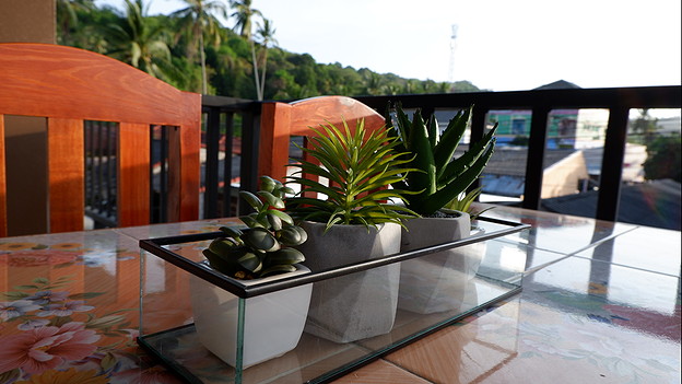 WS House — photo 2