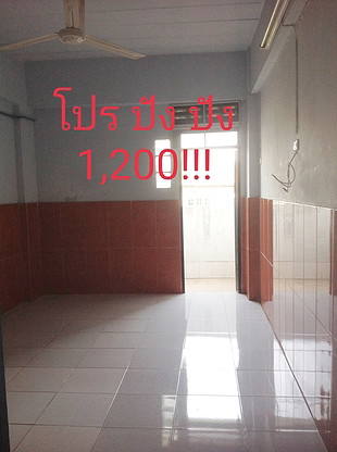 Condo — photo 2